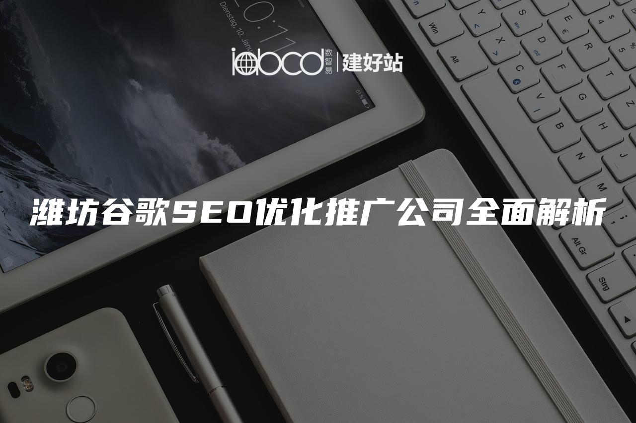 潍坊谷歌SEO优化推广公司全面解析