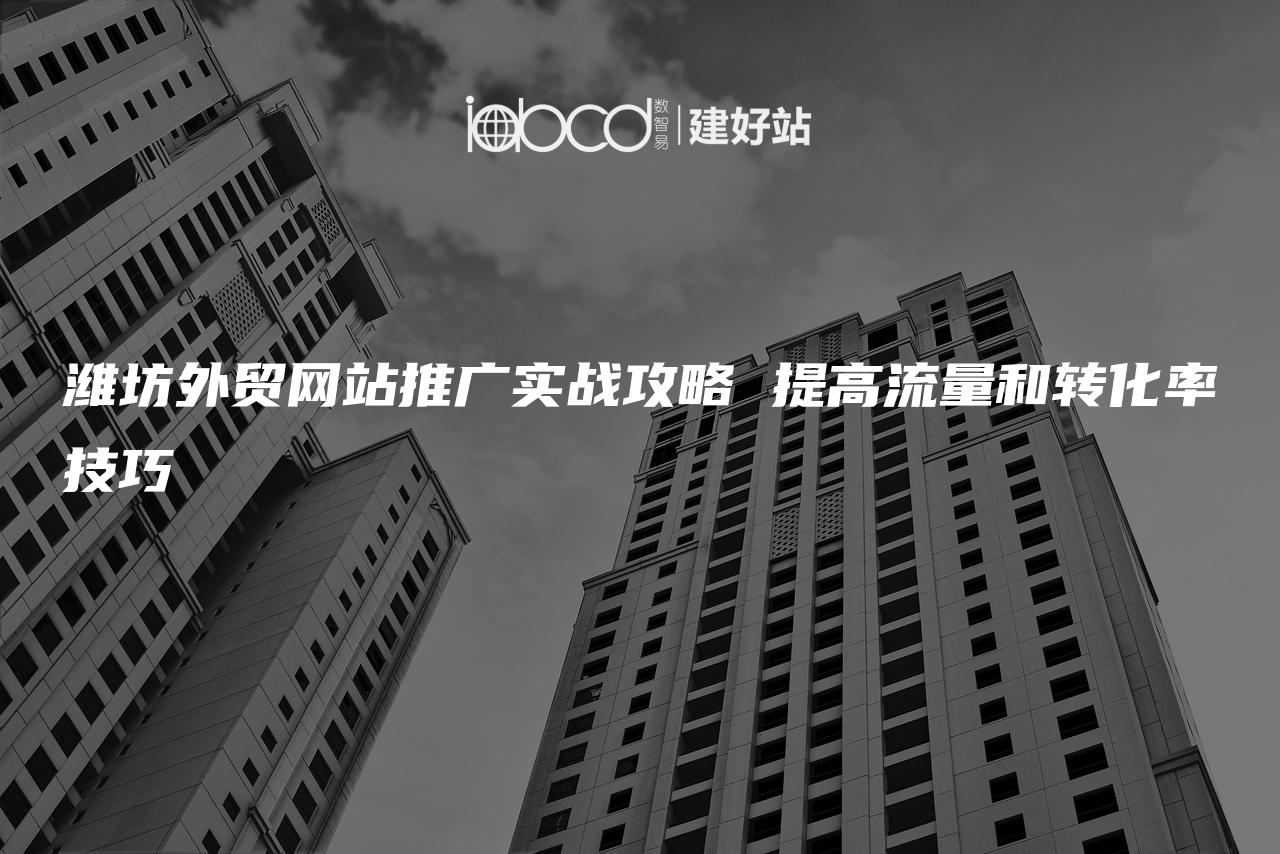 潍坊外贸网站推广实战攻略 提高流量和转化率技巧