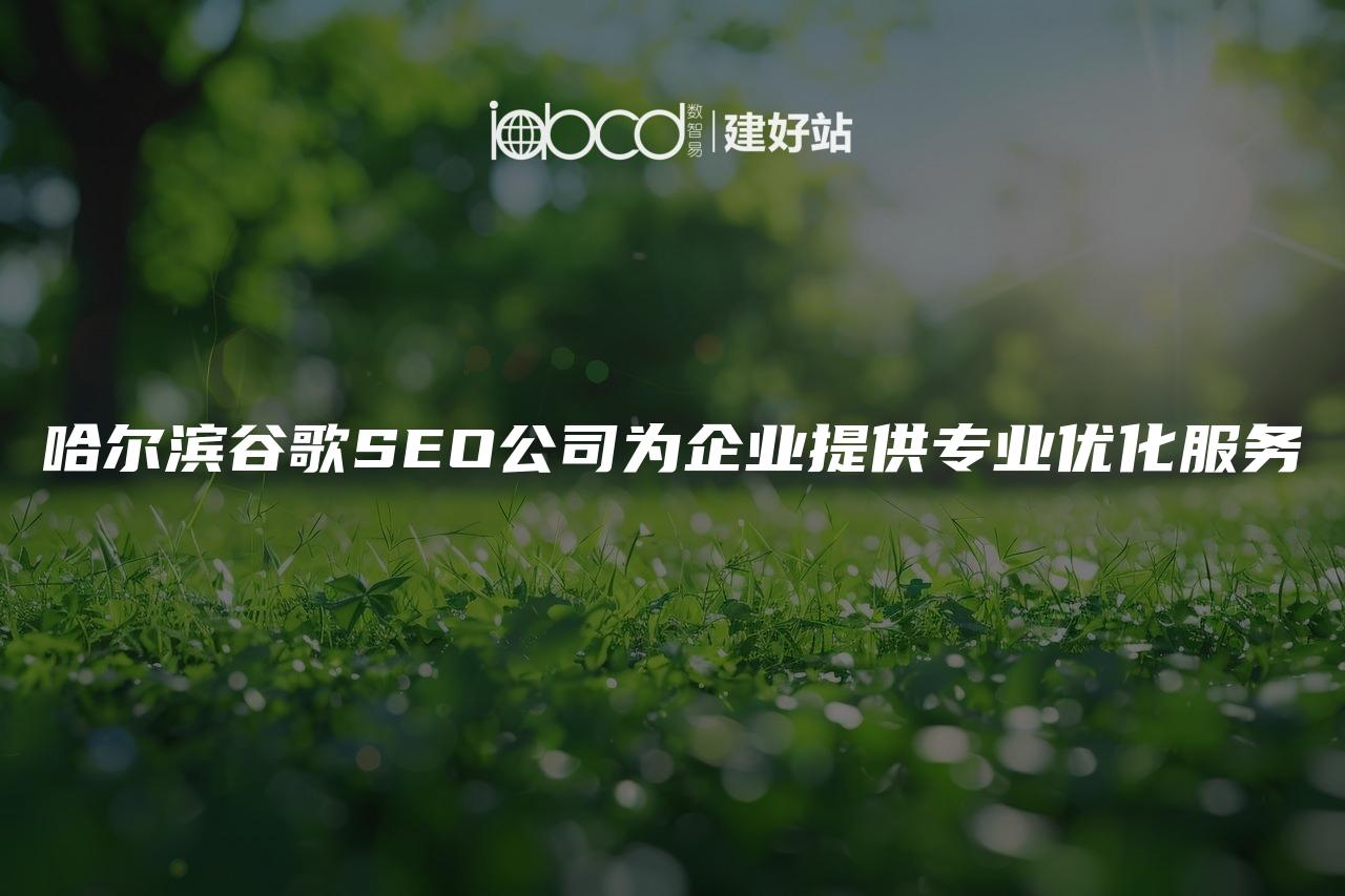 哈尔滨谷歌SEO公司为企业提供专业优化服务