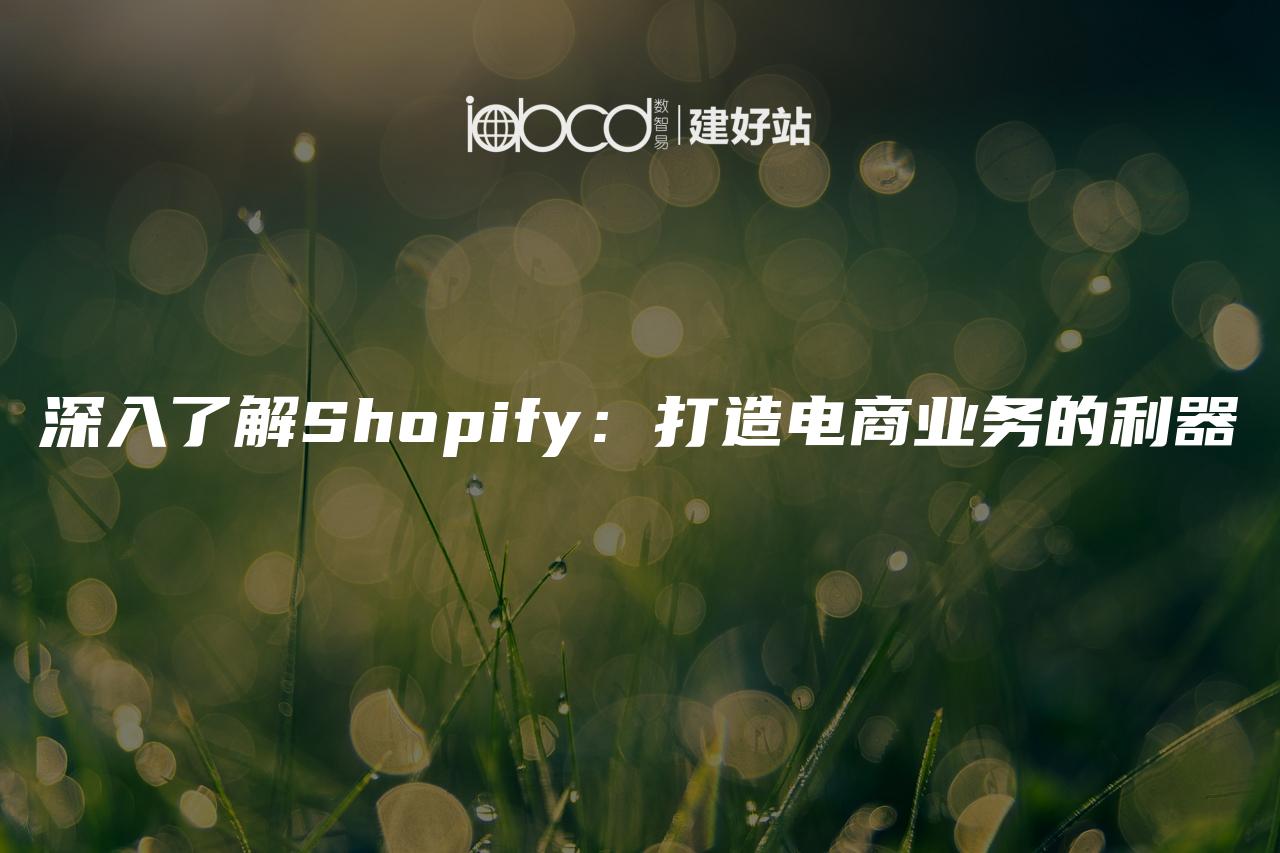 深入了解Shopify：打造电商业务的利器