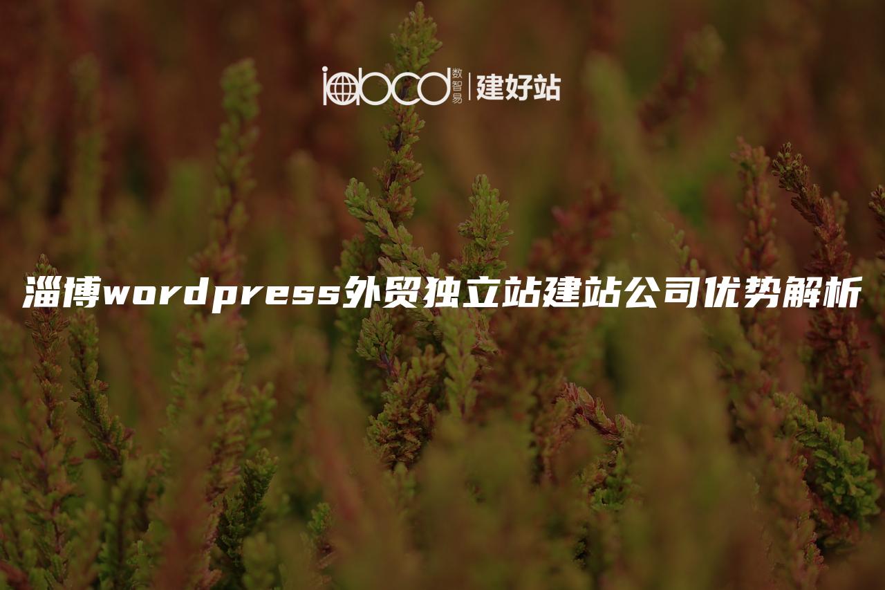 淄博wordpress外贸独立站建站公司优势解析