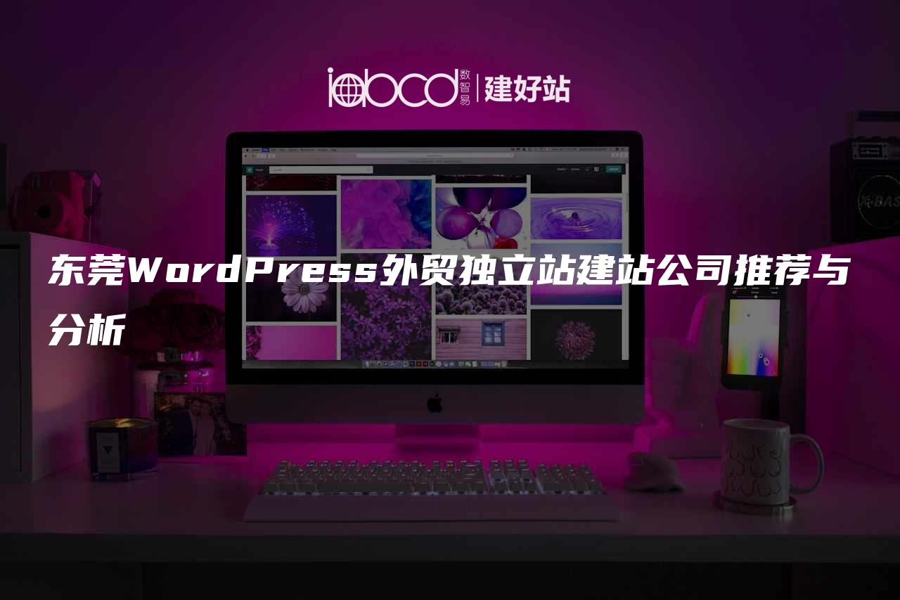 东莞WordPress外贸独立站建站公司推荐与分析