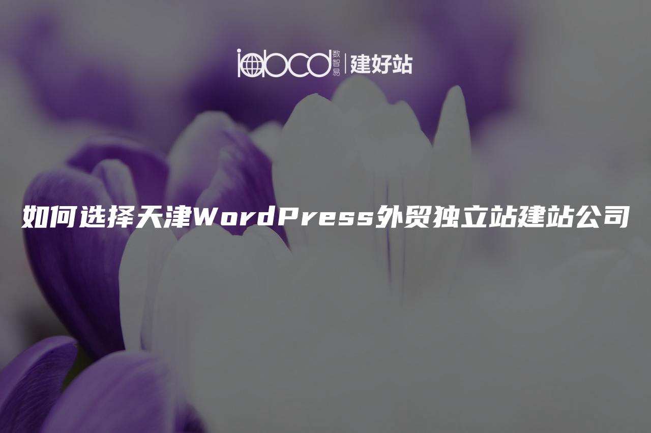 如何选择天津WordPress外贸独立站建站公司