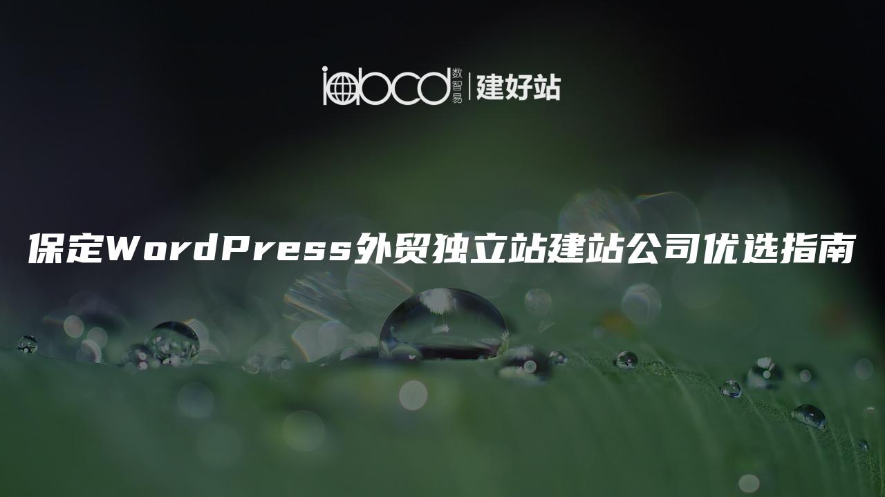 保定WordPress外贸独立站建站公司优选指南