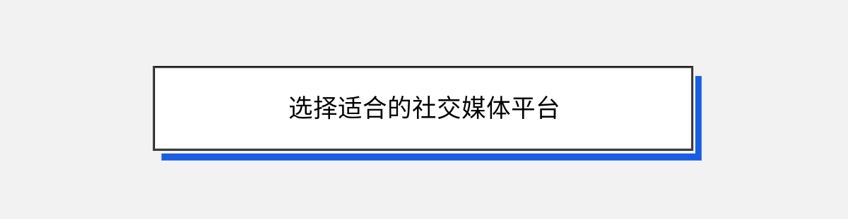 选择适合的社交媒体平台