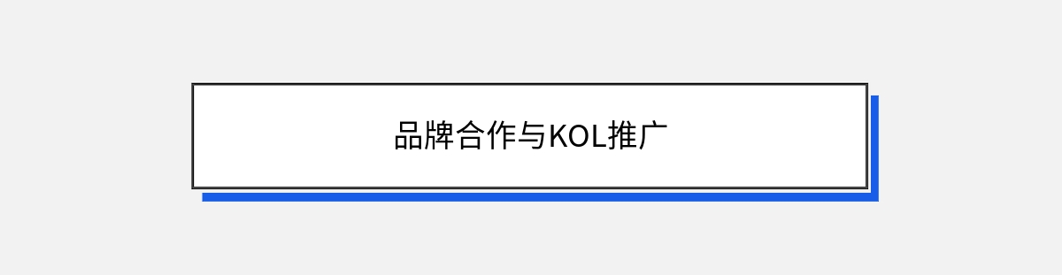 品牌合作与KOL推广