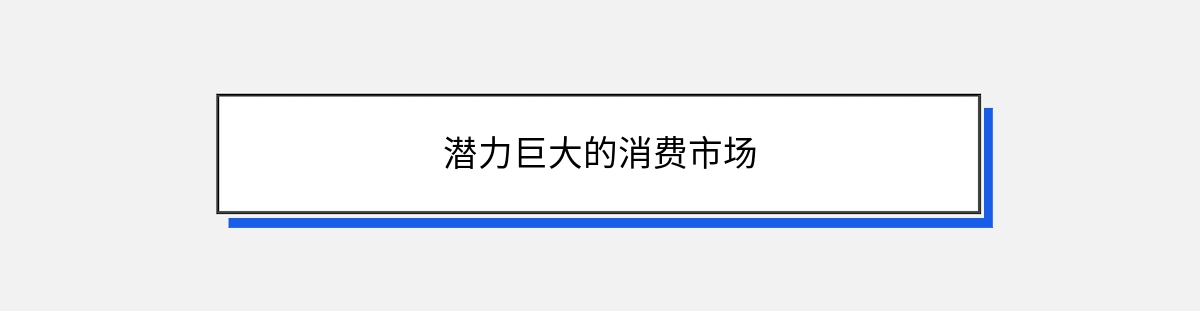 潜力巨大的消费市场