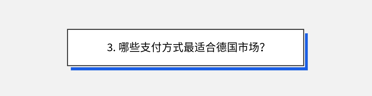 3. 哪些支付方式最适合德国市场？