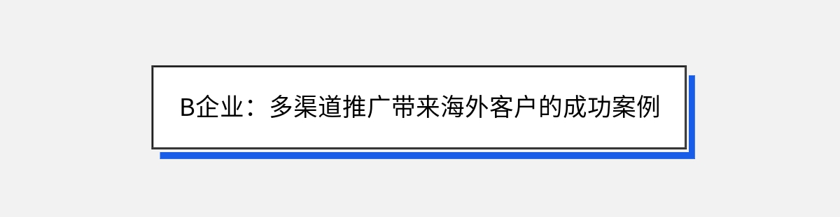 B企业：多渠道推广带来海外客户的成功案例