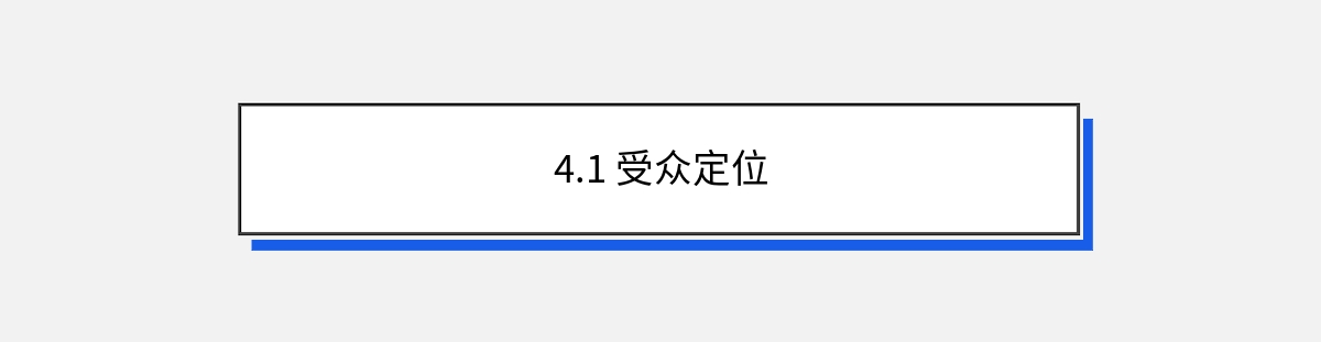 4.1 受众定位