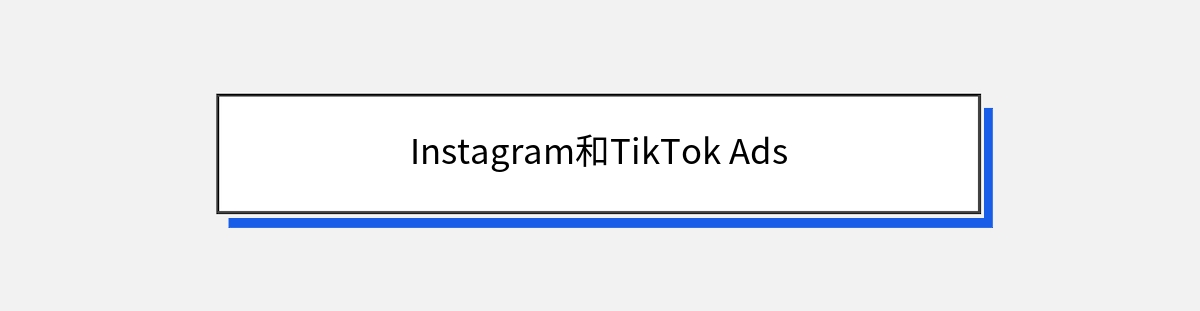 Instagram和TikTok Ads