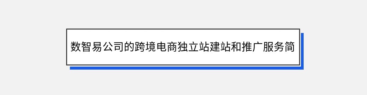 数智易公司的跨境电商独立站建站和推广服务简介