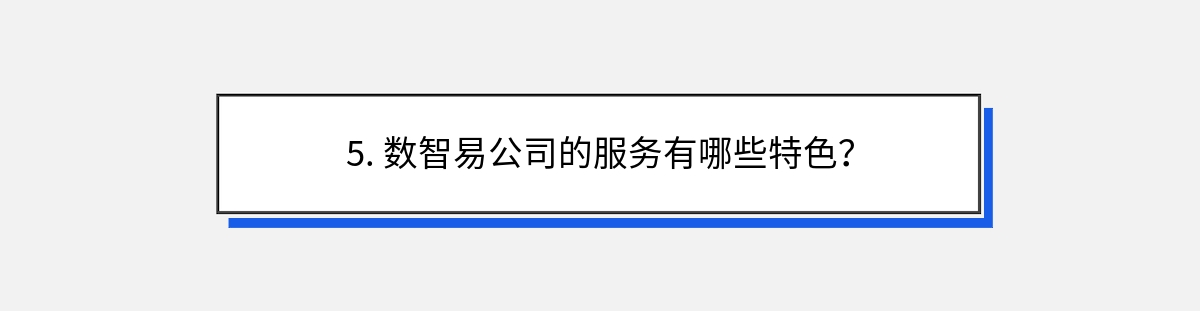 5. 数智易公司的服务有哪些特色？