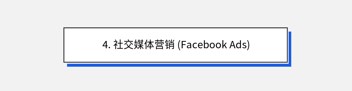 4. 社交媒体营销 (Facebook Ads)