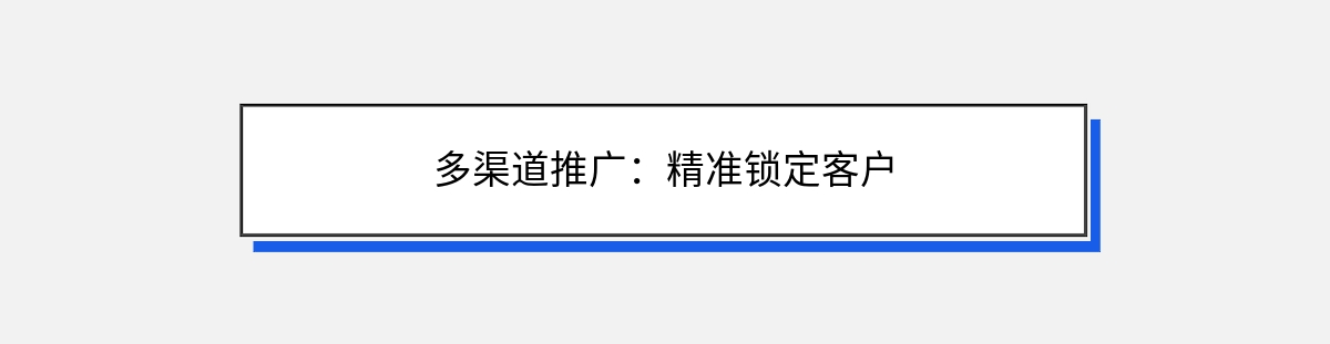 多渠道推广：精准锁定客户