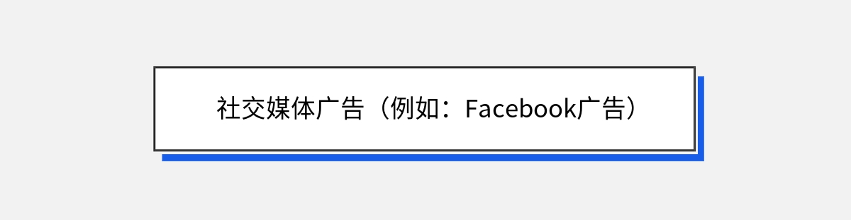 社交媒体广告（例如：Facebook广告）