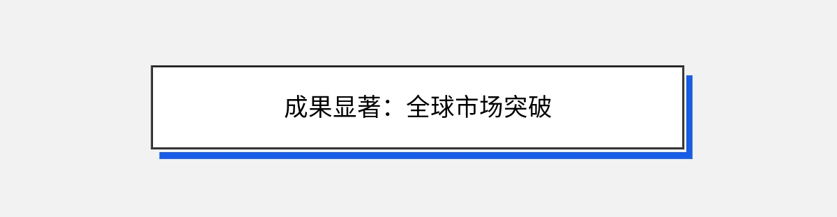 成果显著：全球市场突破