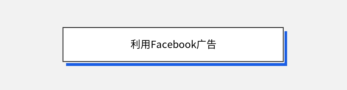 利用Facebook广告