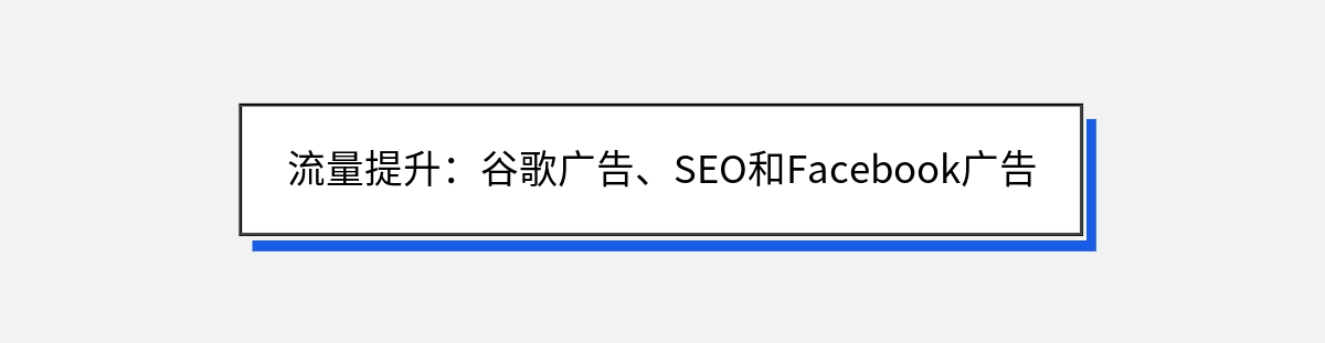 流量提升：谷歌广告、SEO和Facebook广告