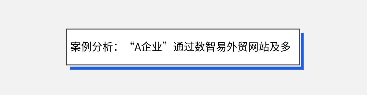 案例分析：“A企业”通过数智易外贸网站及多渠道推广获得成功