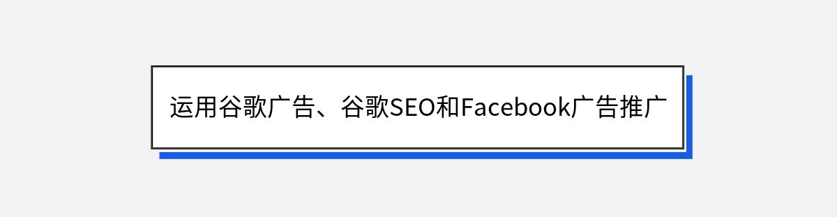 运用谷歌广告、谷歌SEO和Facebook广告推广