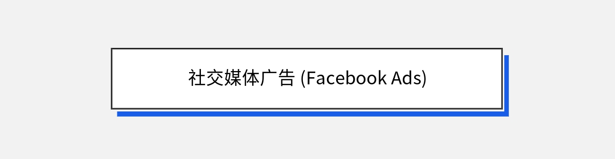 社交媒体广告 (Facebook Ads)