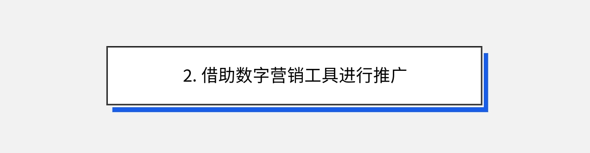 2. 借助数字营销工具进行推广