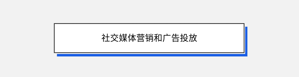 社交媒体营销和广告投放