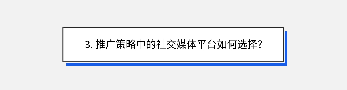 3. 推广策略中的社交媒体平台如何选择？