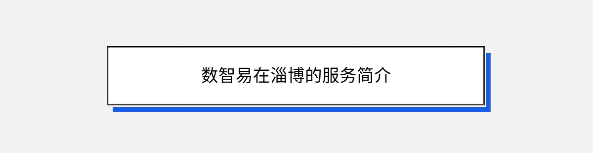 数智易在淄博的服务简介