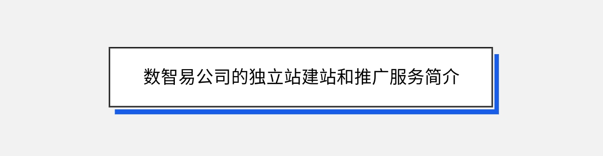 数智易公司的独立站建站和推广服务简介