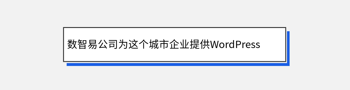 数智易公司为这个城市企业提供WordPress独立站建站和推广服务简介