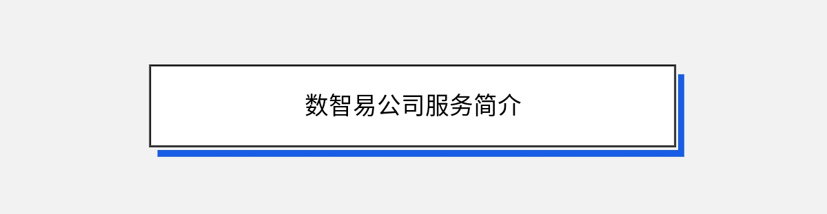 数智易公司服务简介