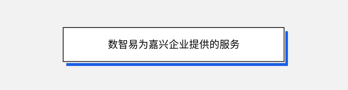 数智易为嘉兴企业提供的服务