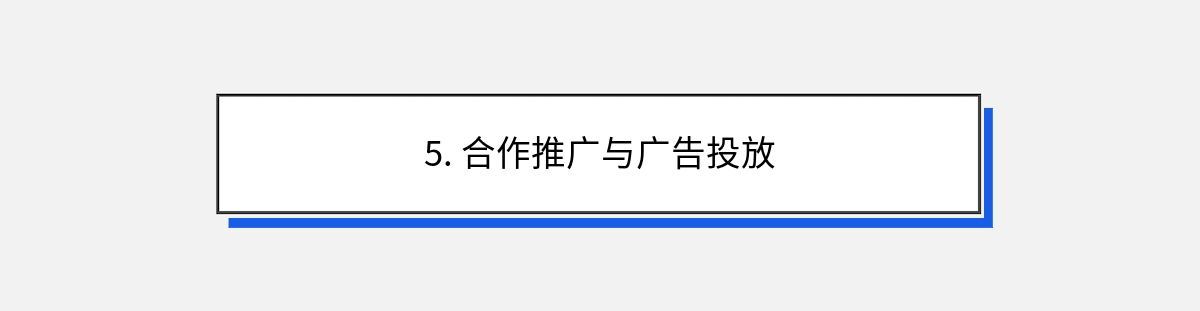 5. 合作推广与广告投放