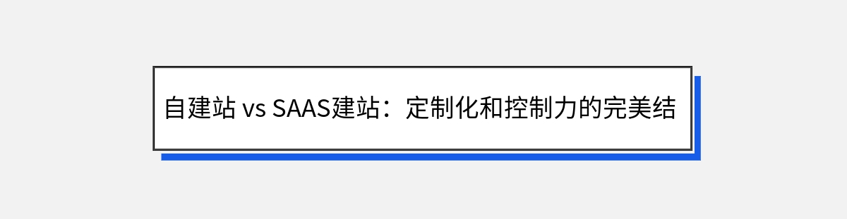 自建站 vs SAAS建站：定制化和控制力的完美结合