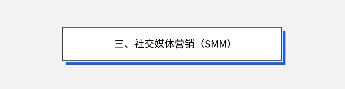 三、社交媒体营销（SMM）