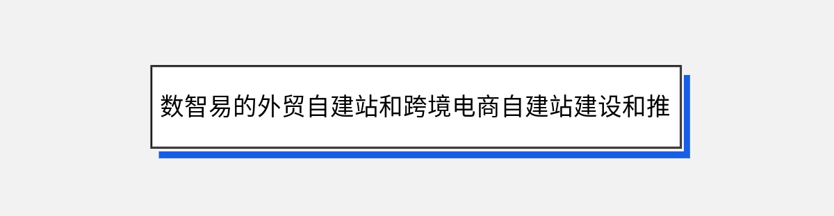 数智易的外贸自建站和跨境电商自建站建设和推广服务简介