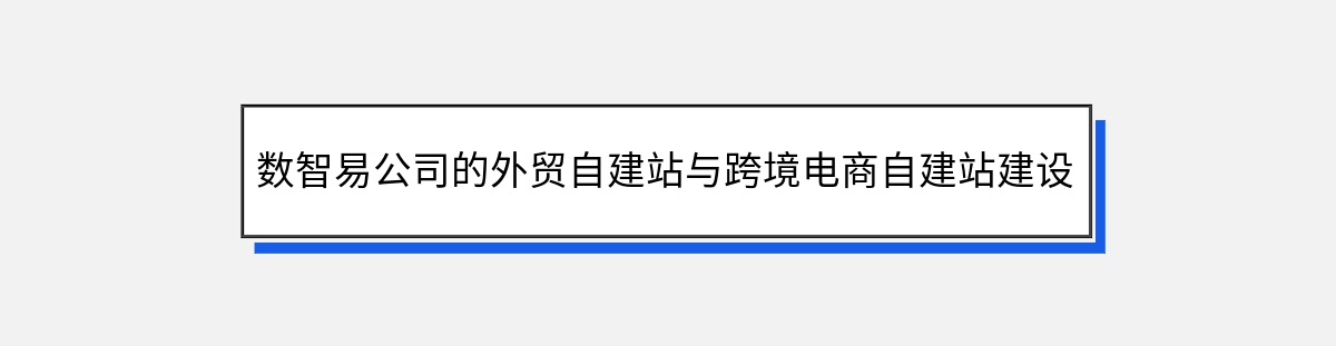 数智易公司的外贸自建站与跨境电商自建站建设和推广服务