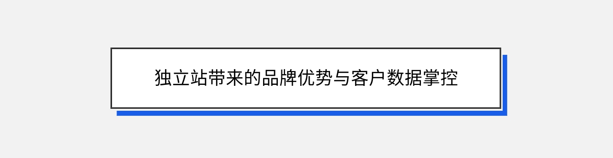 独立站带来的品牌优势与客户数据掌控