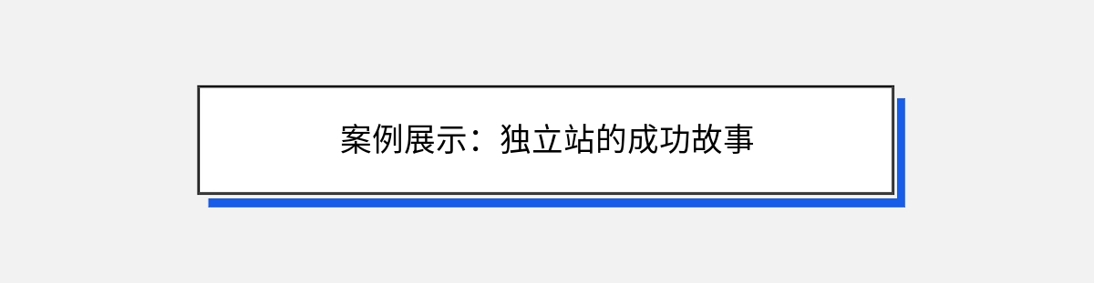 案例展示：独立站的成功故事