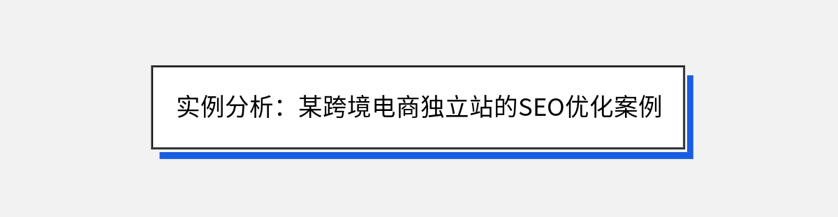 实例分析：某跨境电商独立站的SEO优化案例