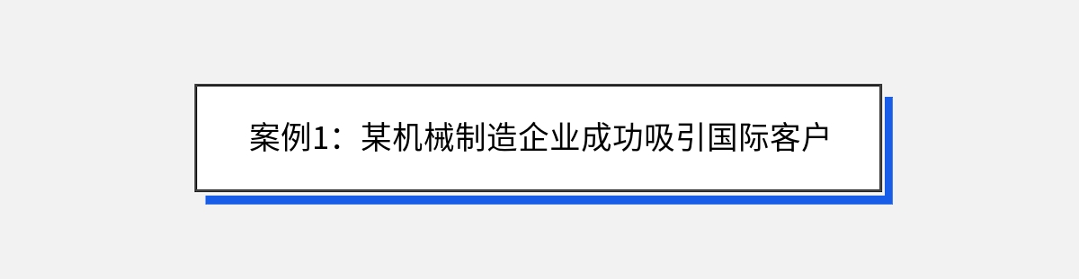 案例1：某机械制造企业成功吸引国际客户