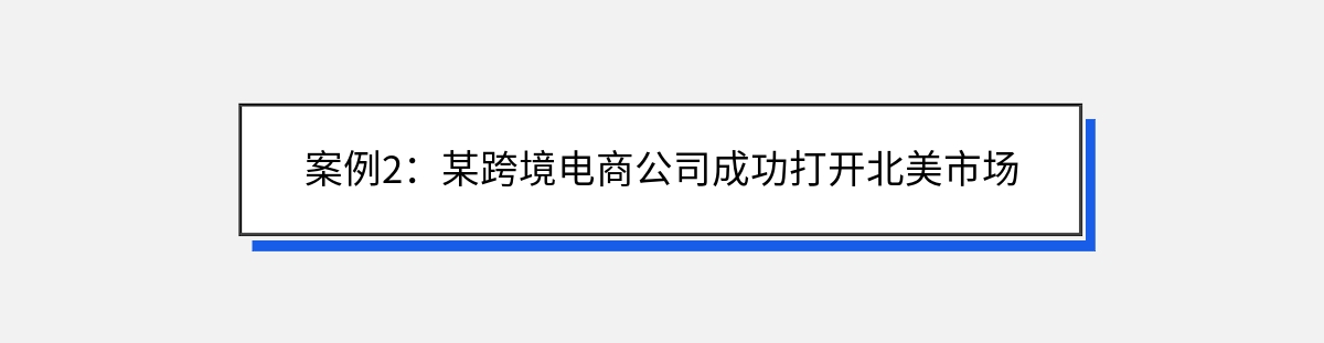 案例2：某跨境电商公司成功打开北美市场