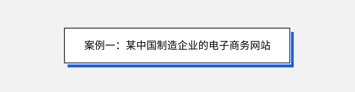 案例一：某中国制造企业的电子商务网站