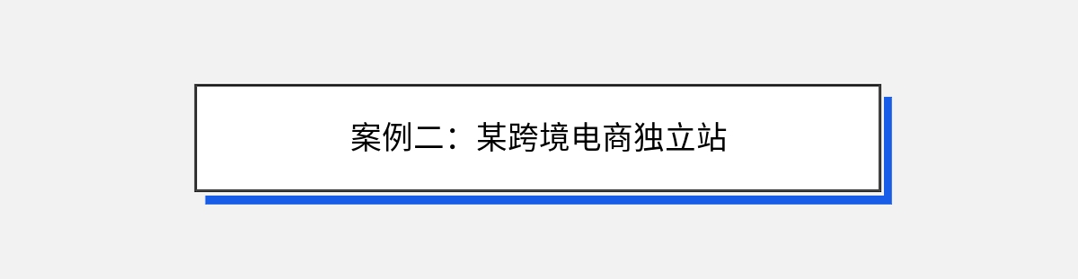 案例二：某跨境电商独立站