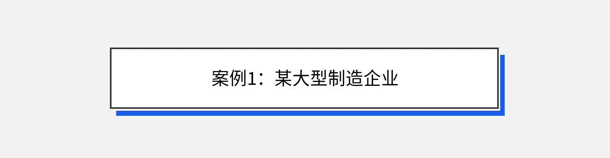 案例1：某大型制造企业