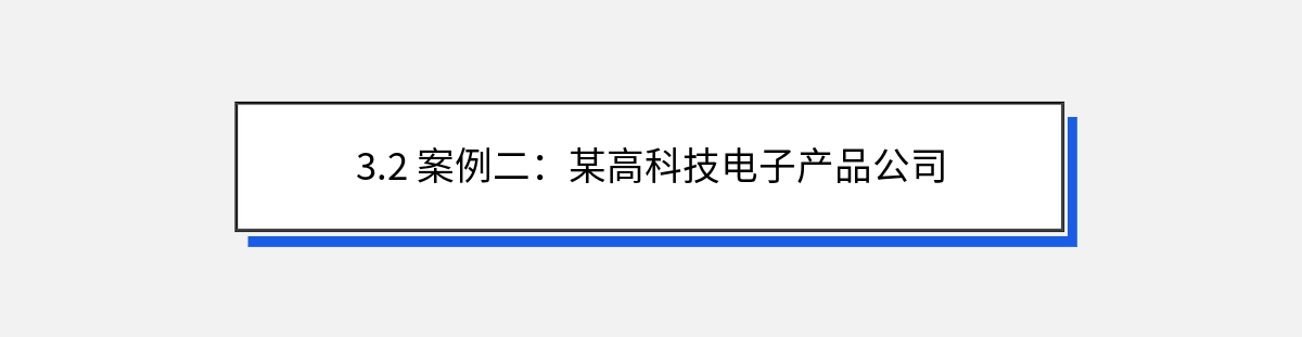 3.2 案例二：某高科技电子产品公司