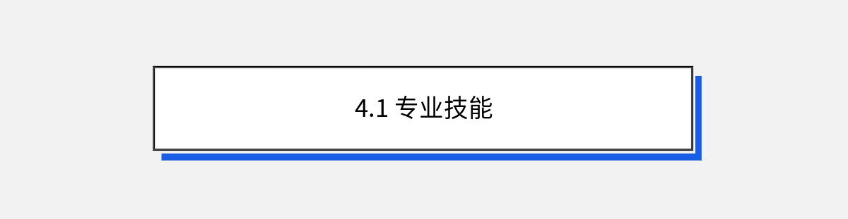 4.1 专业技能