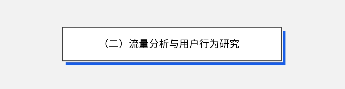 （二）流量分析与用户行为研究